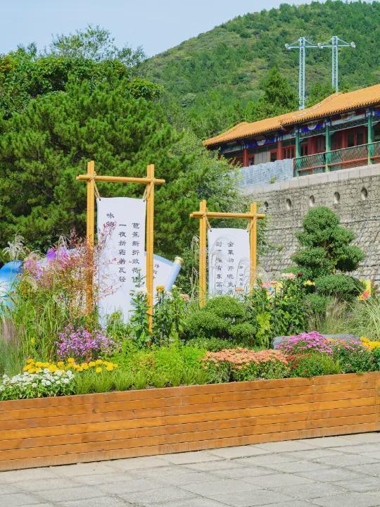 初秋→深秋，昌平这 7 条赏秋线路必冲！（二）