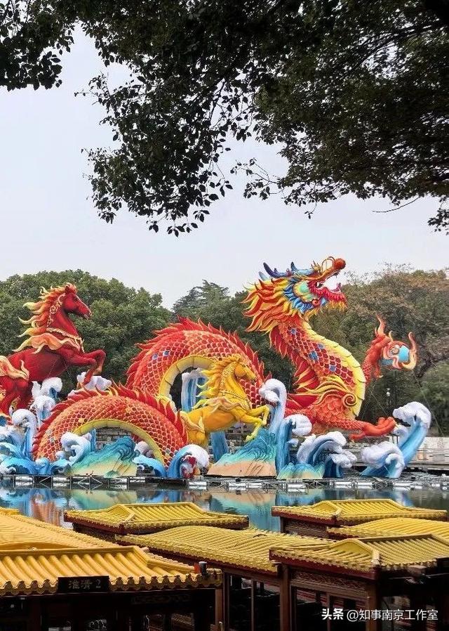 当整个南京都在追光，我在白鹭洲等一场灯与影的相逢