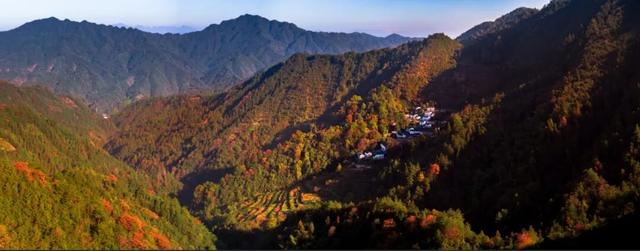 骑行赏枫、古村寻秋……被祁门的「枫景」治愈啦！| 皖美秋日