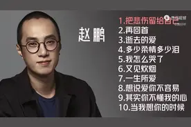 【美·听】赵鹏十首翻唱歌曲 无损音质-人肉低音炮烟嗓-车载U盘歌曲图片