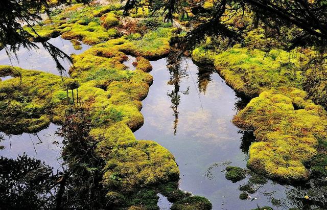 四川阿坝州黑水县的卡龙沟