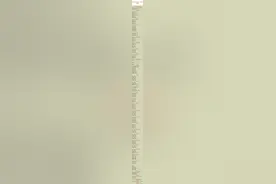 终于有人把“淮海战役战斗序列一览表”整理出来了！收藏起来看看图片