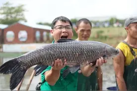 钩大挡口、钩小跑鱼？野钓选钩“黄金公式”：3分钟告别无效抛竿图片