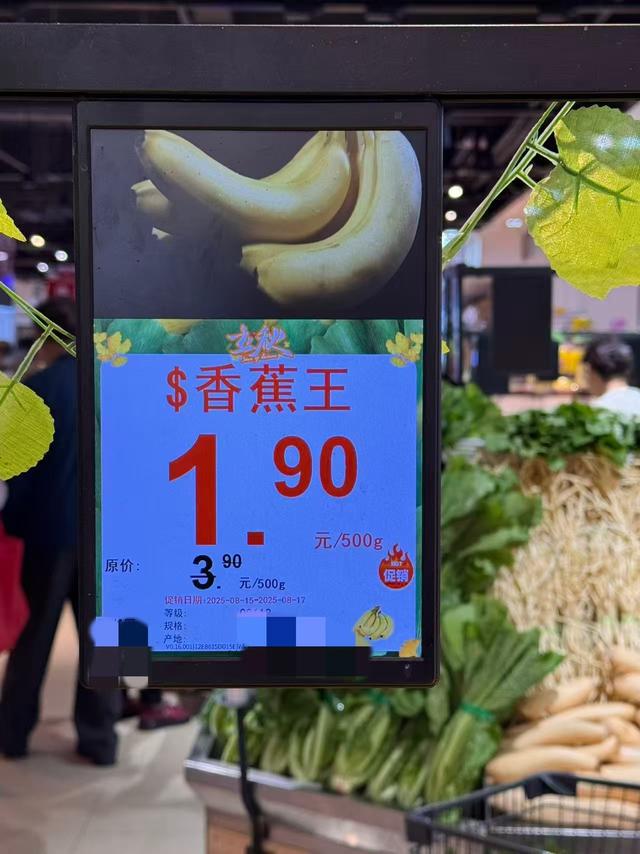 在丽江感受繁华，听当地人讲述焦虑和隐忧