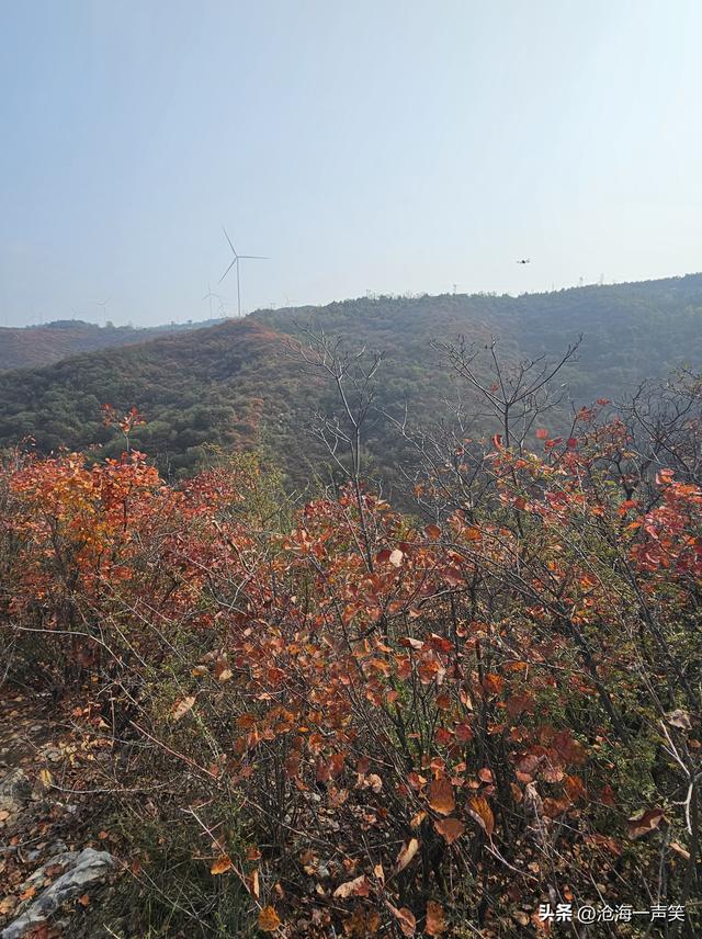 看万山红遍，层林尽染，只是孤影只单，一起相约打卡如何？