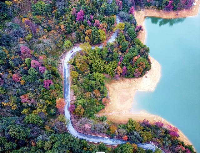 韶关这些秋冬的徒步骑行宝藏路线值得你N刷！喊上搭子，周末就出发去捕捉秋天的限定温柔