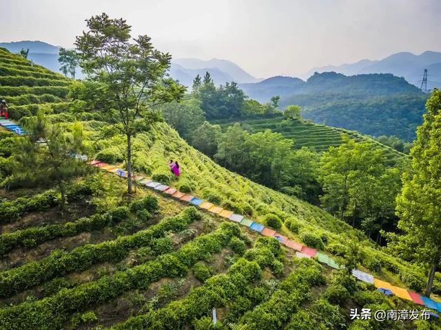 限定最后两天！南漳天池山音乐会，即将浪漫收官