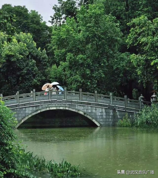 下雨天，来武汉这里沉浸式听雨