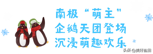 元旦别宅家！和南极萌企鹅共赴小梅沙新年狂欢
