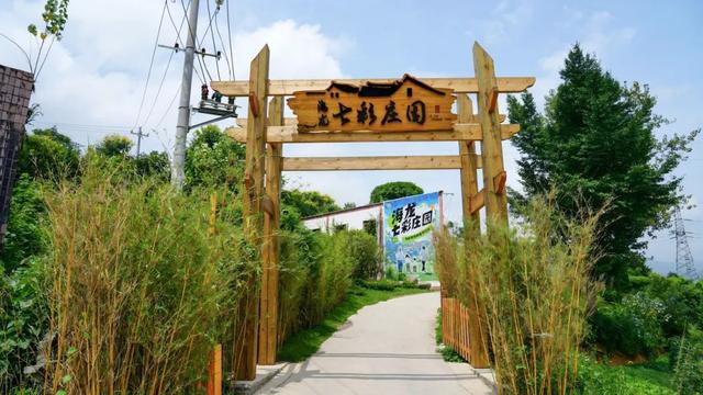 出游 │ 夏日邀您去海龙“虚度光阴”