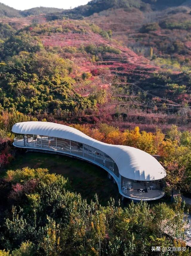 这些人，长期免票！神龙大峡谷、冰瀑奇观、“拍马屁”互动点……超多精彩等你来