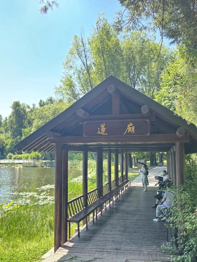 你不知道的净月潭小众宝藏打卡地→