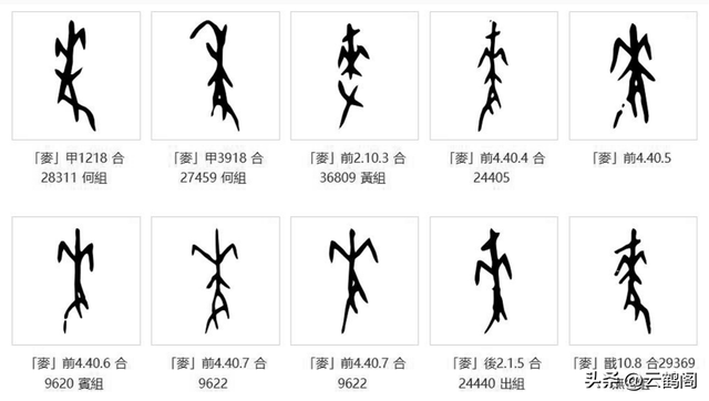 汉字探源：来字是麦字初文