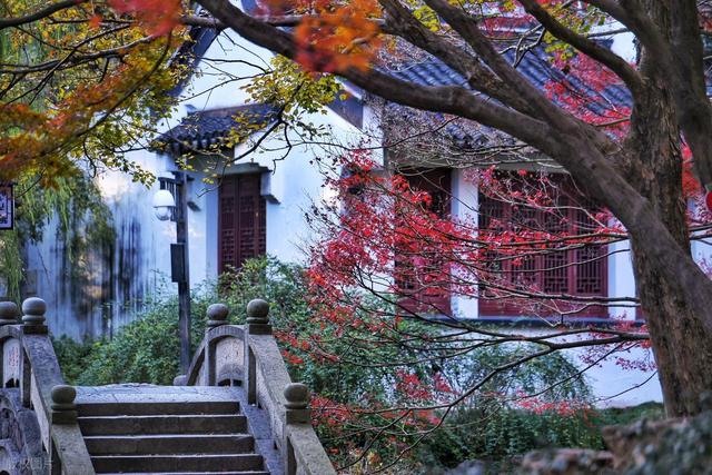 上海值得去的6个公园推荐！全部免费，好看又好玩！你都去过几个