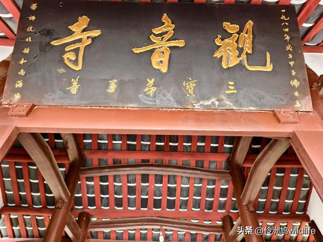 成都徒步（64）·新津篇③观音寺