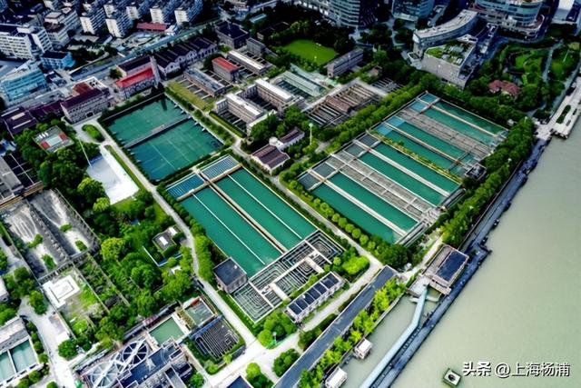 快来杨浦打卡！这条游玩线路有料又出片→