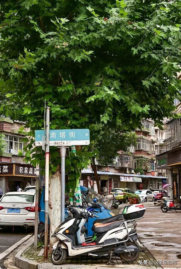 五百年古塔“镇守”，鄂州这条街藏着最浓生活味