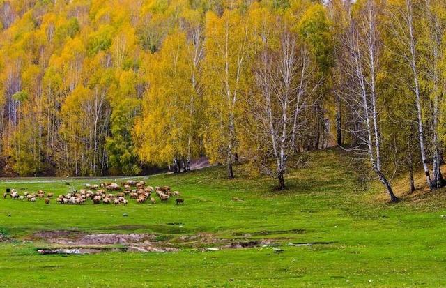 禾木：大自然最深情的画卷