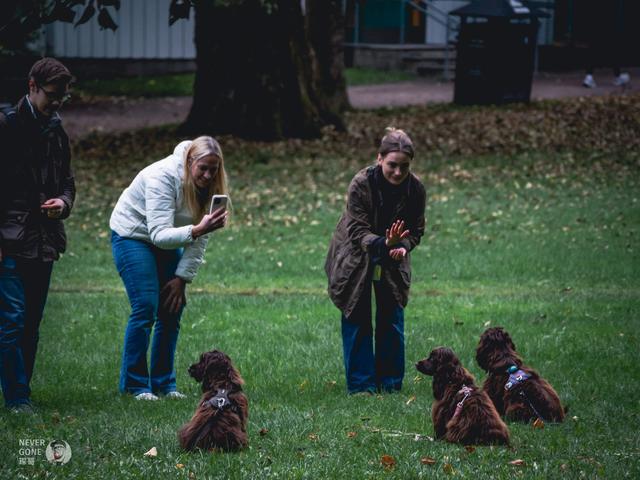 Oslo city walk 二刷挪威首都奥斯陆