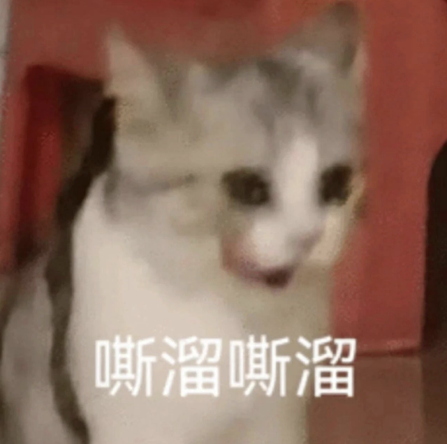 啧啧，微信刚刚这波更新，安卓鸿蒙又要傻眼了