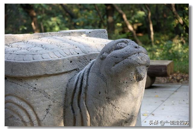 沈阳东陵郊野公园“精灵”出没