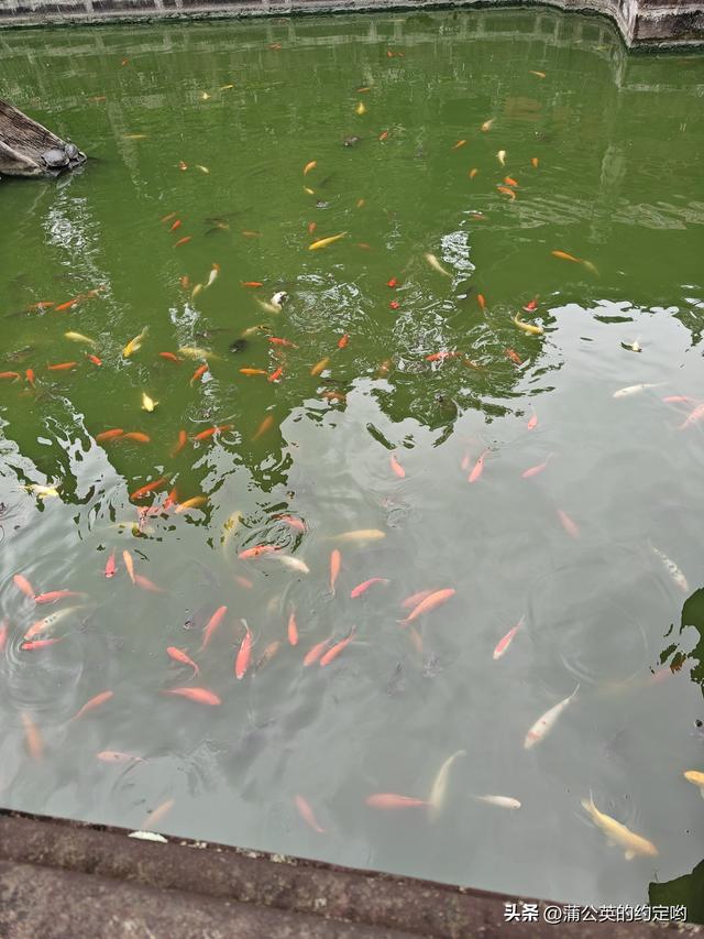 有时间多出去走走