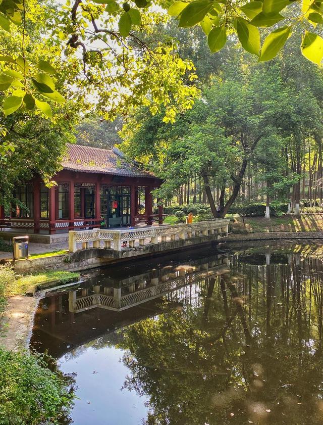 南京这些小众公园被严重低估了，人少景美还免费，看看你去过几个