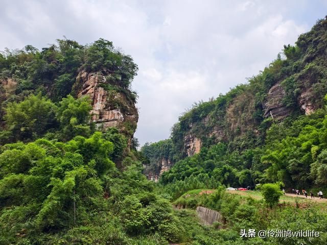 成都徒步（66）·邛崃篇⑥皮缝峡谷·皮缝古道