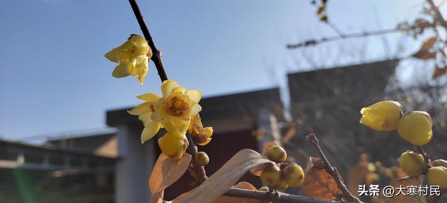 趁着火焰的放肆与热情