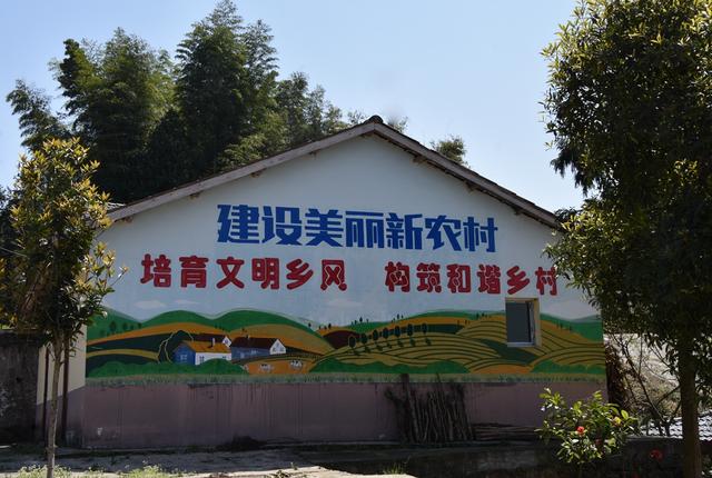 江津关胜：岁月沉淀的土地