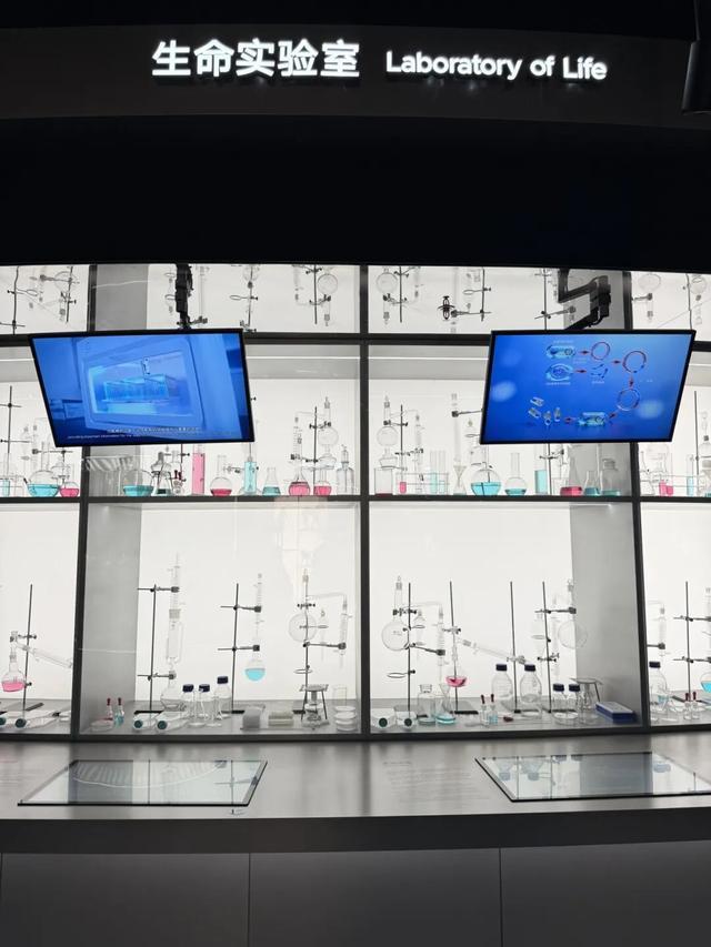 上海科技馆焕新升级，今天面向公众开启首场压力测试！小布带你探营→