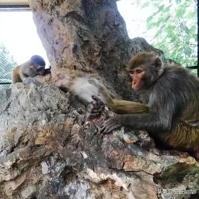 收藏贴！带您玩转潍坊的湖光水色
