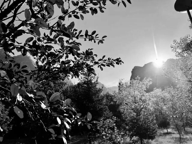 去捕捉秋的痕迹，一键点亮贵清山遮阳山景区的秋天！