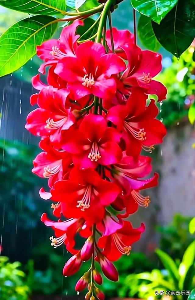 春日暖阳轻抚大地，柔弱生命散发芬芳，金辉洒落织就自然杰作