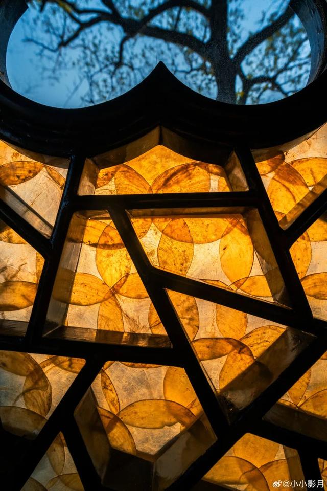 宜两亭回归！今年更火啦！