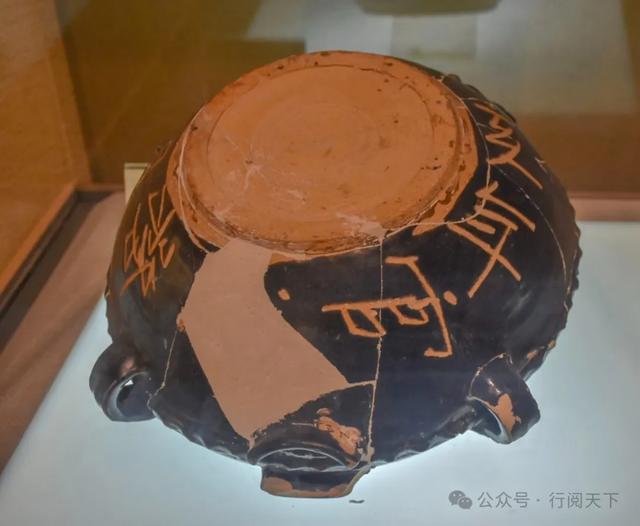 额济纳，额济纳，秋天必须要去额济纳，与金色胡杨林相遇