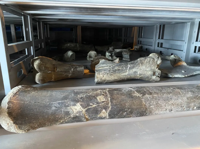 盲人融合旅行招募：到冰天雪地的伊春撒欢儿去