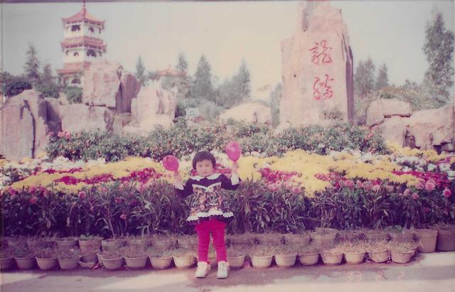 龙峰塔下，聆听龙华三十余载步履与回响