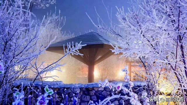邂逅北国温泉，开启梦幻康养之旅