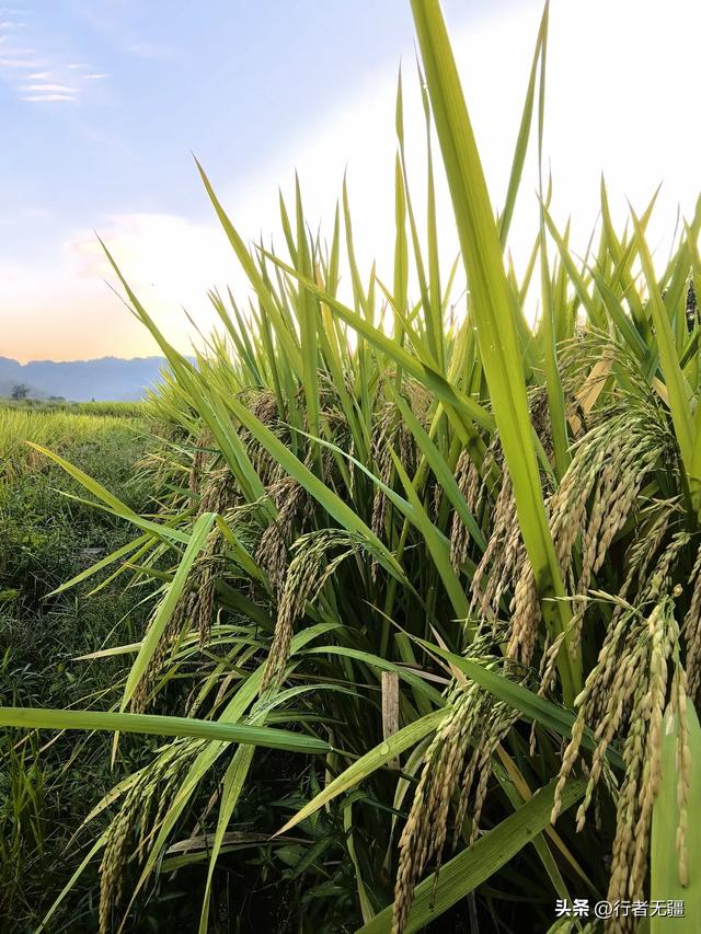 贵州山村清晨：大自然的诗意长卷
