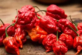 关于印度30个冷知识，带你了解真实的印度图片