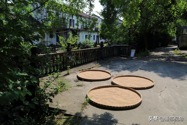 湖州独市村，渐归寂静的百年古村