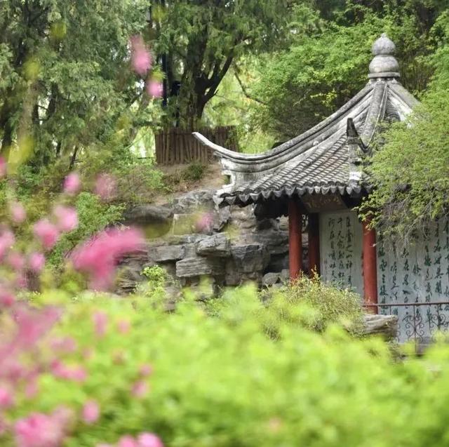 逛西城，到陶然亭公园打卡“隐藏点位”——