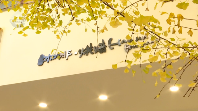 收藏这份“鎏金地图”，喝咖啡、拍银杏、晒太阳