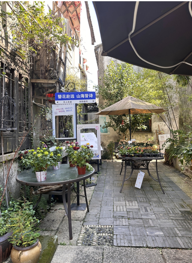 CityWalk湖州 | 触，小西街“可以摸”的文艺