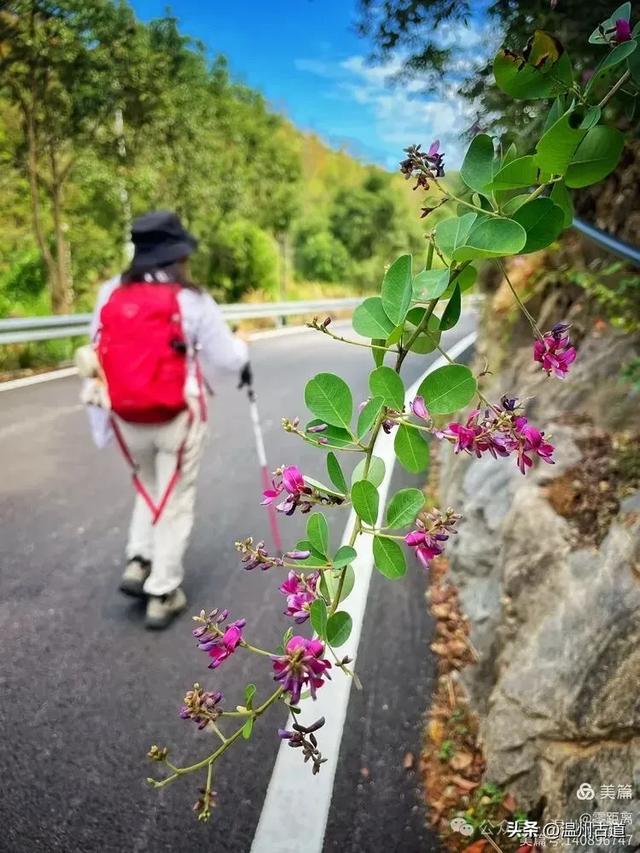 秋风起，浙江这条绝美海岛风光徒步穿越线路，可以安排了！