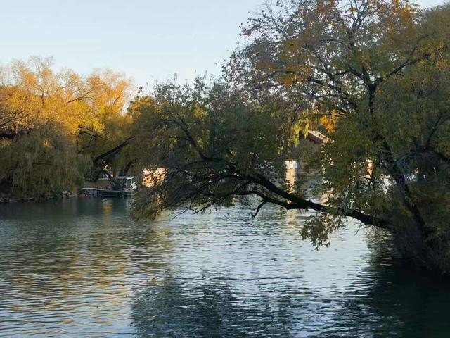 颐和园秋色印记