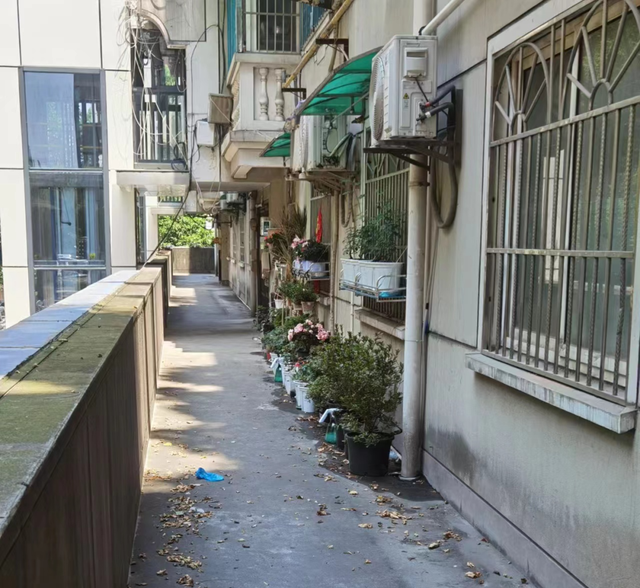 2026年的房价要变天？王健林预言应验，惊醒梦中人