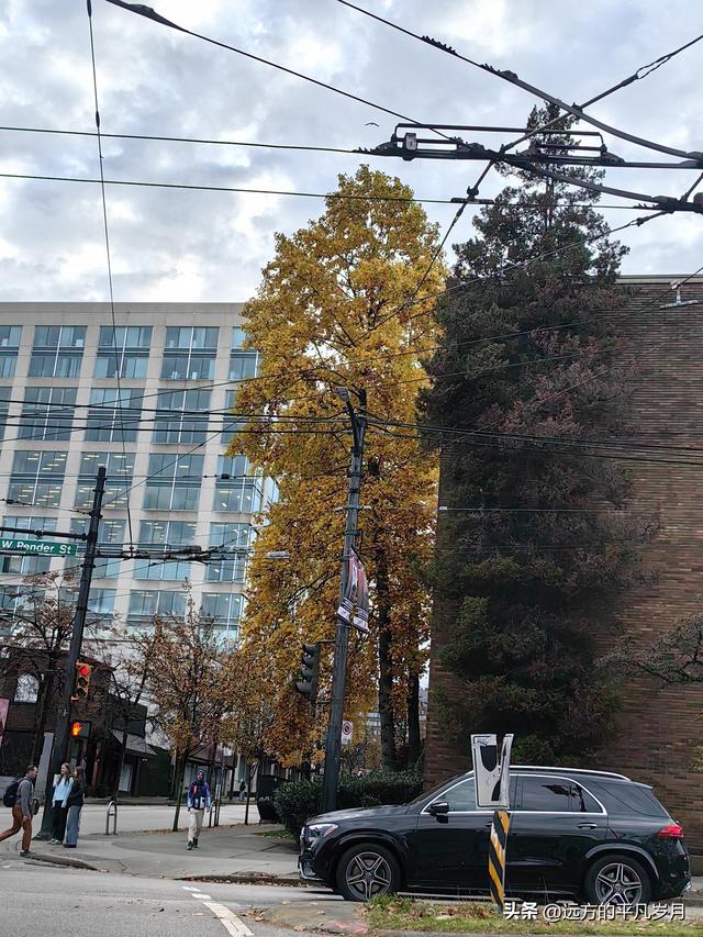 温哥华游记（三）