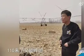 云浩止耕，“大学学历”是否涉及学历造假？图片